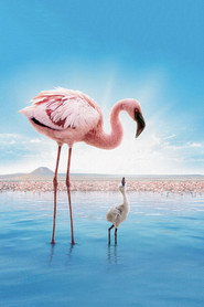 gallery-thumbnail