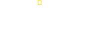 Logo of Secrets of the Octopus image size 3714x1299