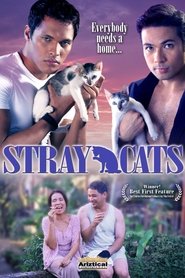 poster Stray Cats