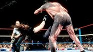 WWE SummerSlam 1993 wallpaper 