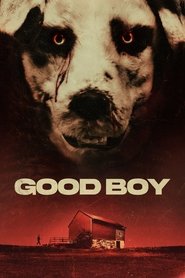 Poster of Good Boy image size 2000x3000