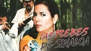 Las plebes de Sinaloa wallpaper 