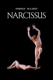 Poster of Narcissus image size 1177x1765