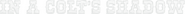 Logo of In a Colt's Shadow image size 770x59