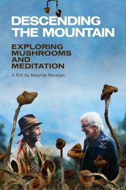 poster Descending the Mountain