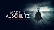 Backdrop of Made in Auschwitz: The Untold Story of Block 10 image size 1280x720