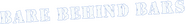 Logo of Bare Behind Bars image size 1070x136