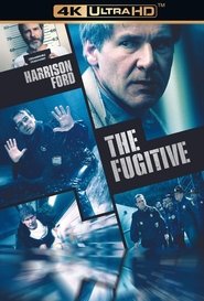 Poster of The Fugitive image size 839x1236
