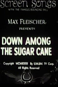 Down Among the Sugar Cane poster