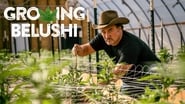 Growing Belushi  