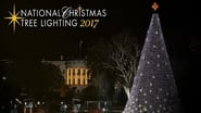 95th Annual National Christmas Tree Lighting wallpaper 