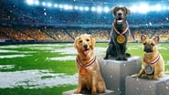 Puppy Bowl Presents: The Winter Games wallpaper 