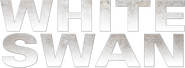 Logo of Assassins Run image size 782x286