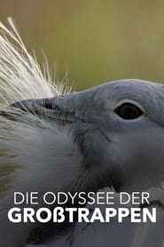 poster Die Odyssee der Großtrappen - Das Comeback der Riesenvögel