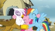 My Little Pony : Les Amies, c'est magique season 5 episode 8