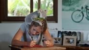 Izzy et les koalas season 1 episode 2