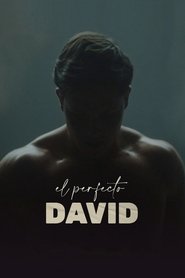 El Perfecto David Película Completa HD 720p [MEGA] [LATINO] 2021