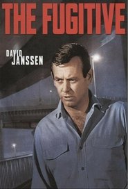 Poster of The Fugitive image size 680x1000