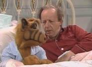 Alf season 4 episode 12