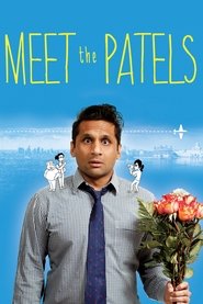 poster Meet the Patels