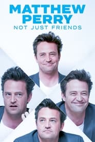 poster Matthew Perry: Not just Friends
