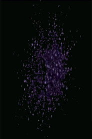A Sequence from the Evolution of Form
