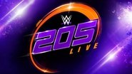 WWE 205 Live  