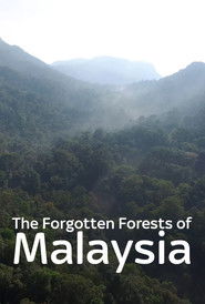 The Forgotten Forests of Malaysia