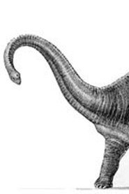Diplodocus at Large poster