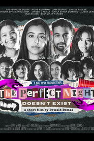 Poster of The Perfect Night Doesn't Exist image size 2000x3000