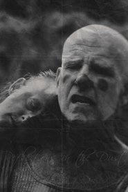 poster Reflections in the Dust