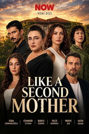 Like A Second Mother