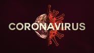 Coronavirus : enquête aux origines du désastre wallpaper 