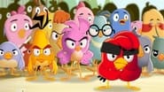 Angry Birds : Un été déjanté season 2 episode 14