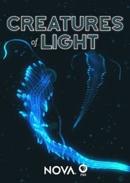 Creatures of Light