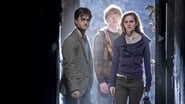 Harry Potter et les Reliques de la mort : 1ère partie wallpaper 