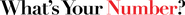 Logo of What's Your Number? image size 2201x182