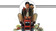 Funny Farm wallpaper 
