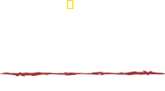 Logo of Primal Survivor: Extreme African Safari image size 1920x1067