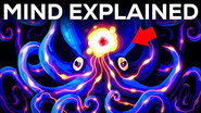 Let’s Dissect Your Brain