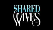 Backdrop of Shared Wives image size 1920x1080