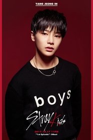 Poster of Stray Kids image size 973x1460