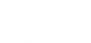 Logo of Boss image size 2737x1300