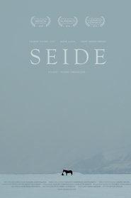 Poster of Seide image size 1778x2667