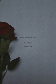 Rose Through A Lens