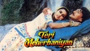 Teri Meherbaniyan wallpaper 