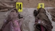 Criminal Minds: Suspect Behavior season 1 episode 1