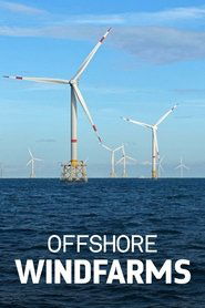 poster Windparks im Meer - Chance oder Risiko für die Natur?