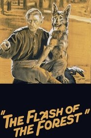 poster The Flash of the Forest