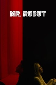 Poster of Mr. Robot image size 736x1104